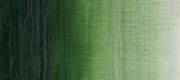 Terre Verte